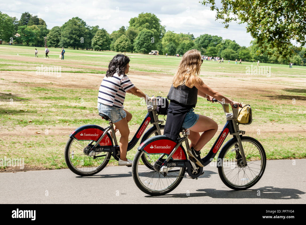 London England, Großbritannien, Hyde Park, historischer Royal Park, breiter Fußweg, Rasen, Frau weibliche Frauen, Reiten, Fahrrad Fahrräder Radfahren Reiten Fahrrad Fahrer b Stockfoto