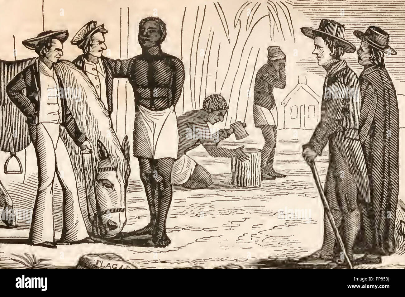 Austausch von Bürgern für Pferde - Sklaverei in den Antebellum amerikanischen Süden Stockfoto