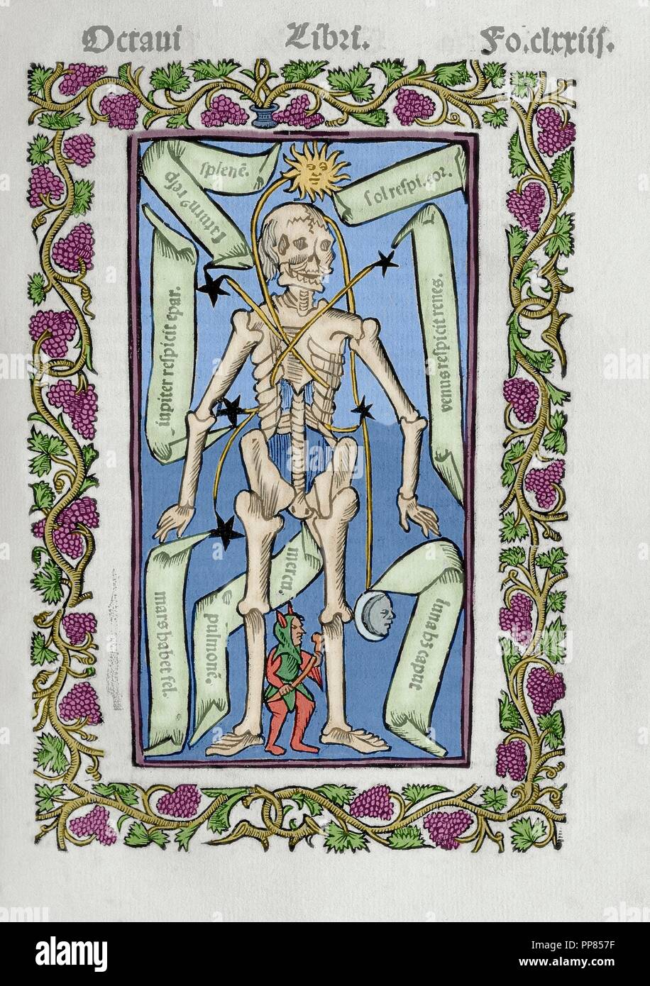 Ramon Llull (1235-1316). Spanischer Schriftsteller und Philosoph.  Practica Compendiosa Artis Raymundi Lulli, 1523. Buch 8. Medizin-Thema. Beschreibung des menschlichen Skeletts. Farbige Gravur. Stockfoto