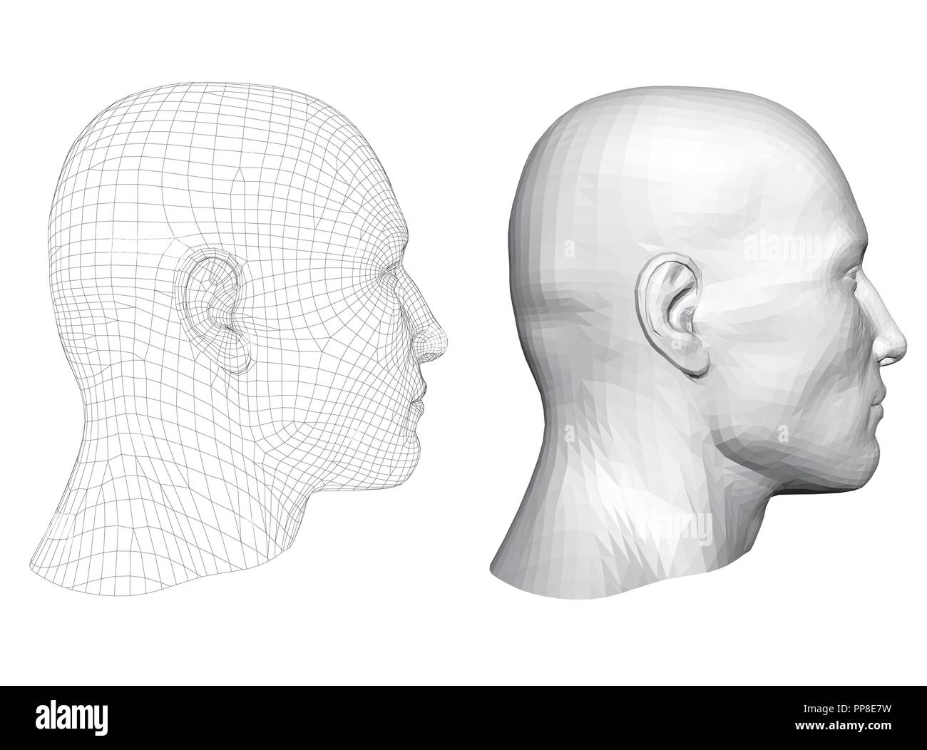 Realistische männlichen Kopf. Polygonale Haut. Isoliert. 3D. EPS8. Vector Illustration. Stock Vektor