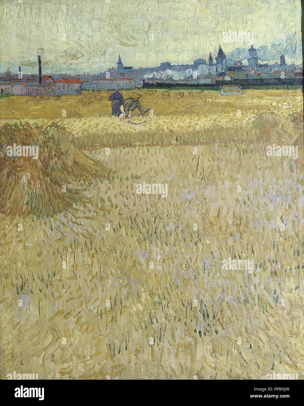 Wheatfield mit Scheiben - 1888 - 73 x 54 cm - Öl auf Leinwand. Autor: Van Gogh, Vincent. Lage: Musee Rodin. Frankreich. Stockfoto