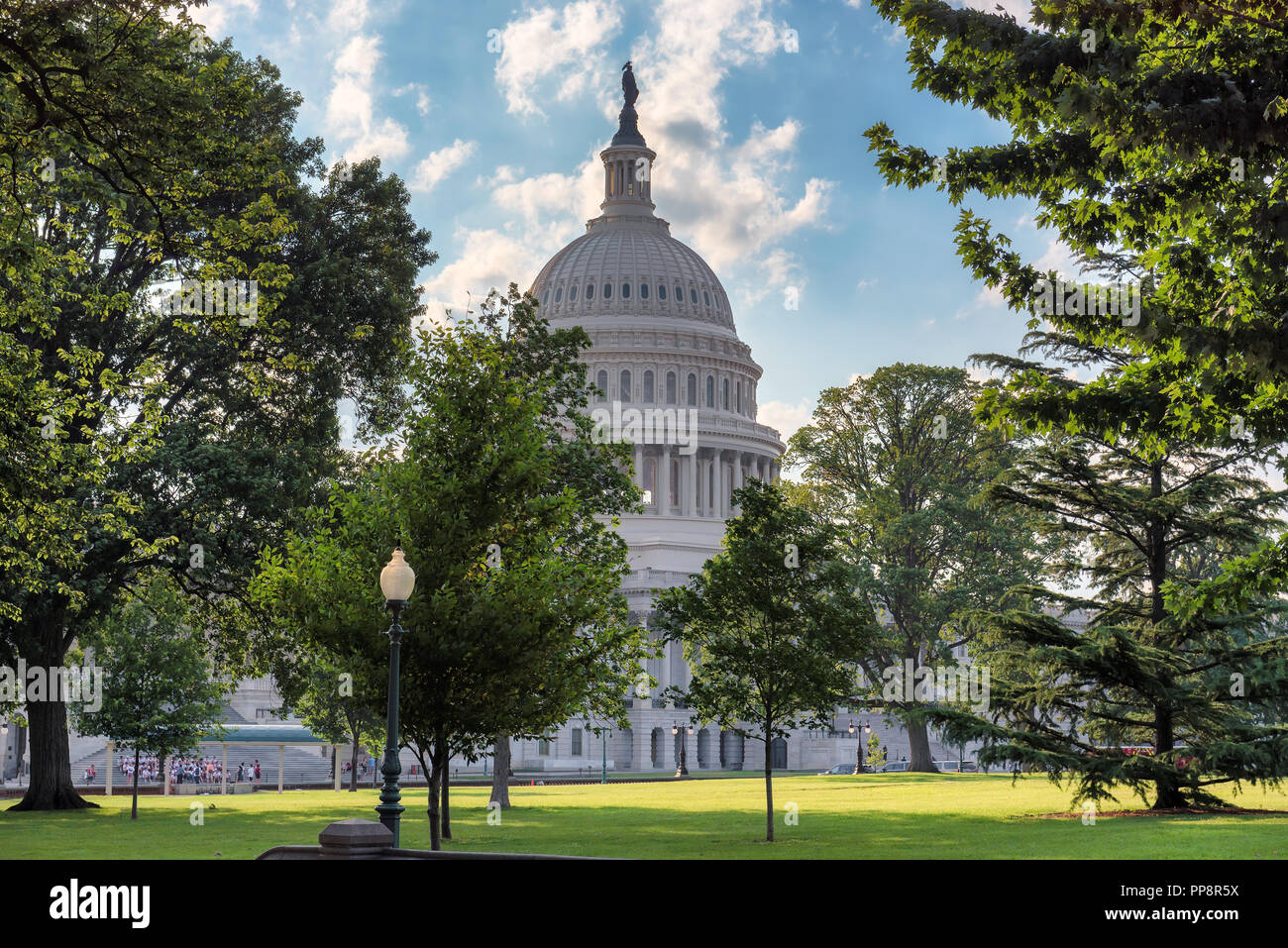 Das Kapitol in Washington, DC, Landschaft von Park Stockfoto