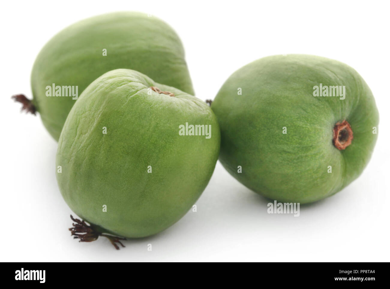 Actinidia arguta wie Baby Kiwi in Kopenhagen, Dänemark bekannt Stockfoto