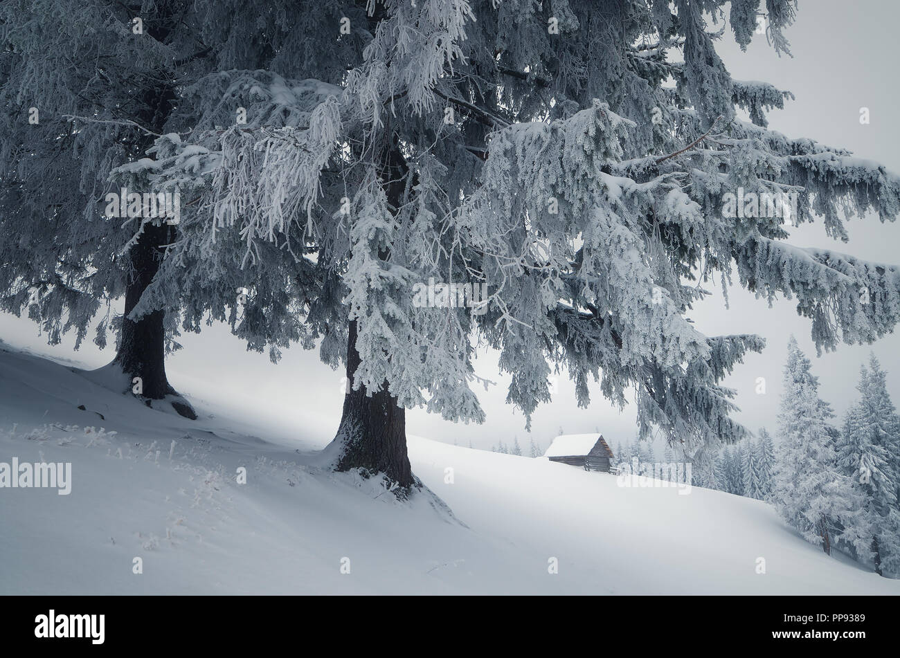 Fabelhafte Landschaft mit Holz- Haus. Winter im Bergdorf. Karpaten, Ukraine Stockfoto