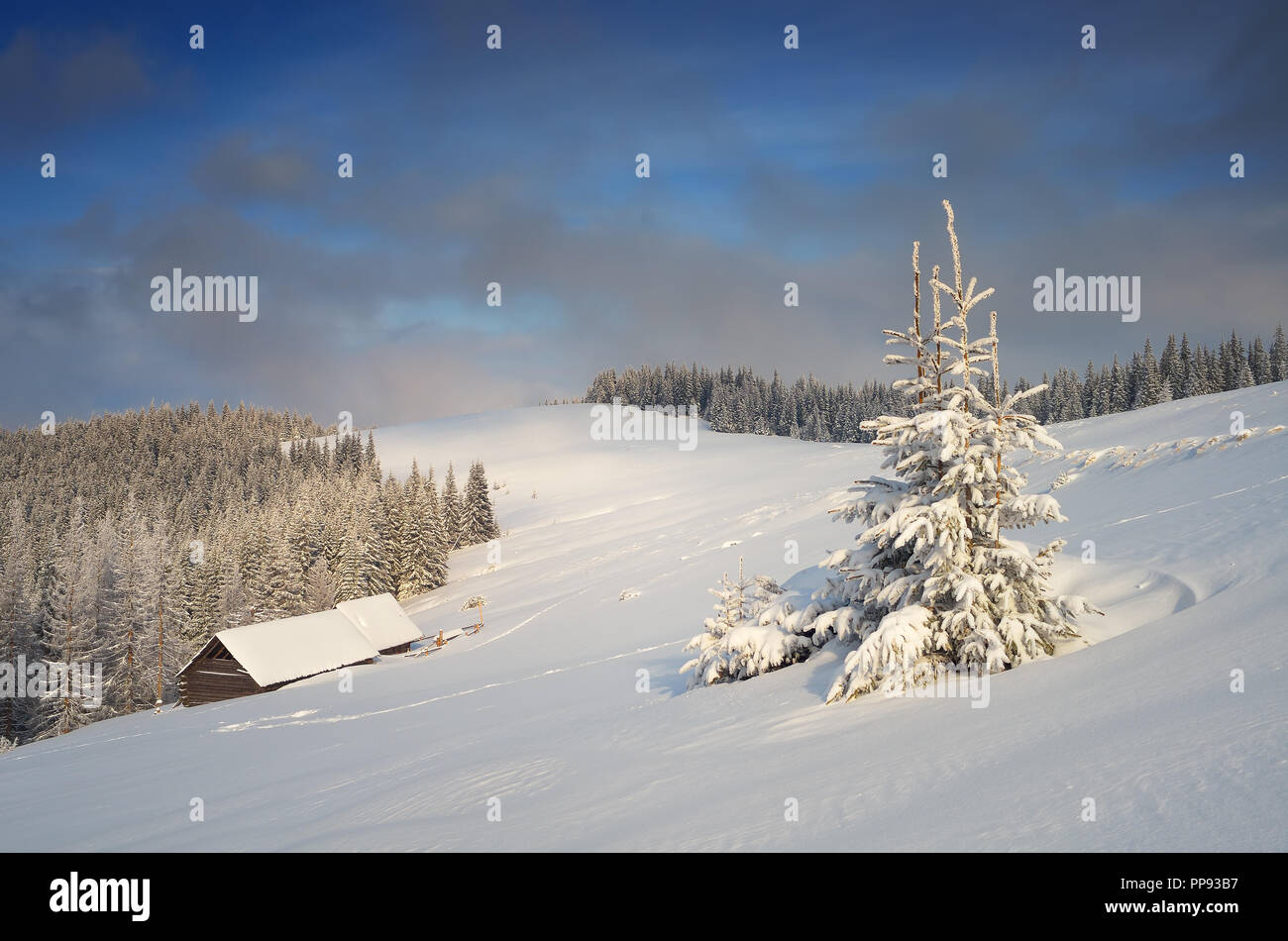 Weihnachten Märchenlandschaft. Verschneite Bäume und Häuser. Winter in den Bergen. Frischen Schnee. Karpaten, Ukraine, Europa Stockfoto