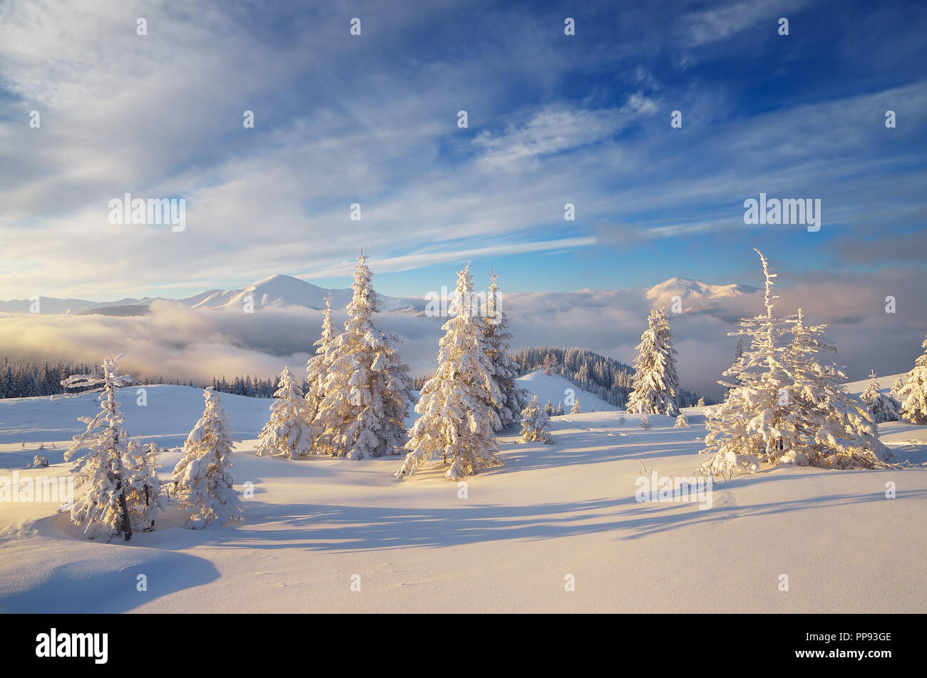 Schöne Winterlandschaft. Berge in der Morgendämmerung. Weihnachten anzeigen Stockfoto