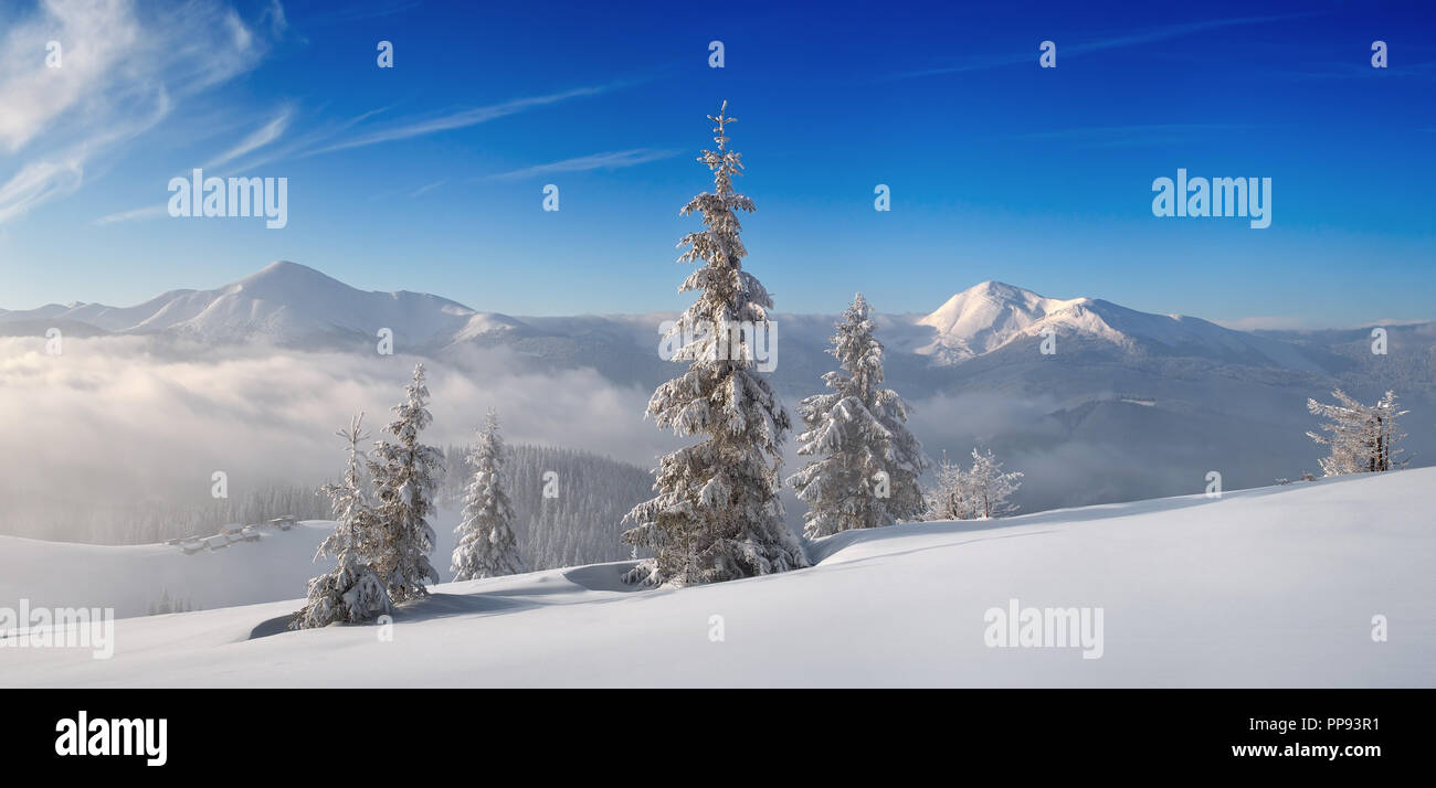 Auf die Landschaft mit den Bergen frostigen Tag. Neuschnee in einem Bergtal. Karpaten, Ukraine, Europa Stockfoto