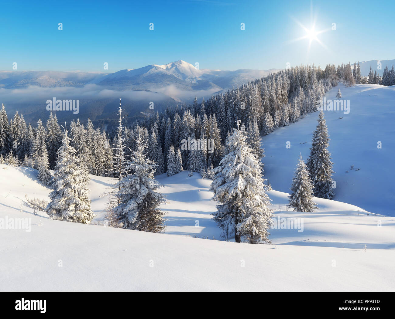 Winterlandschaft eine klare frostigen Tag in den Bergen. Ukraine Karpaten Stockfoto