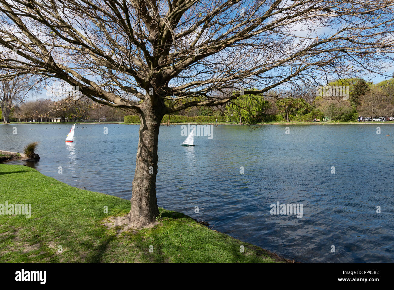 Modell Yacht segeln an der Victoria See, Hagley Park, Christchurch, Neuseeland. Stockfoto