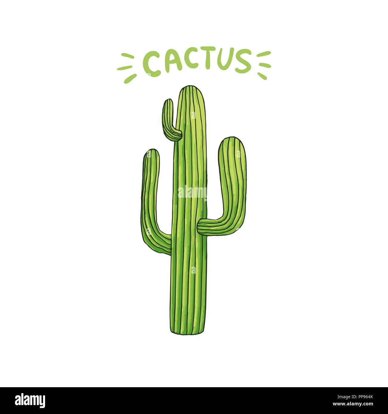 Mexikanischer Kaktus mit Stacheln oder Dornen und Blüten als isolierte Clipart für Cinco De Mayo Urlaub oder Feier. Genießbare Esculent wie Saguaro Kakteen, indische Abb. oder Mammillaria. Latin theme Stock Vektor