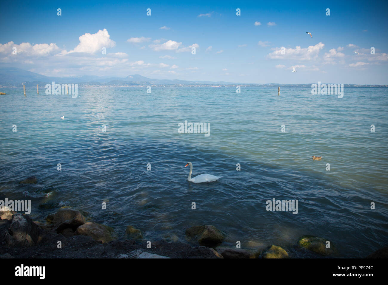 Schönen Gardasee in Italien, sonnigen Sommertag. 7. September 2018 Stockfoto