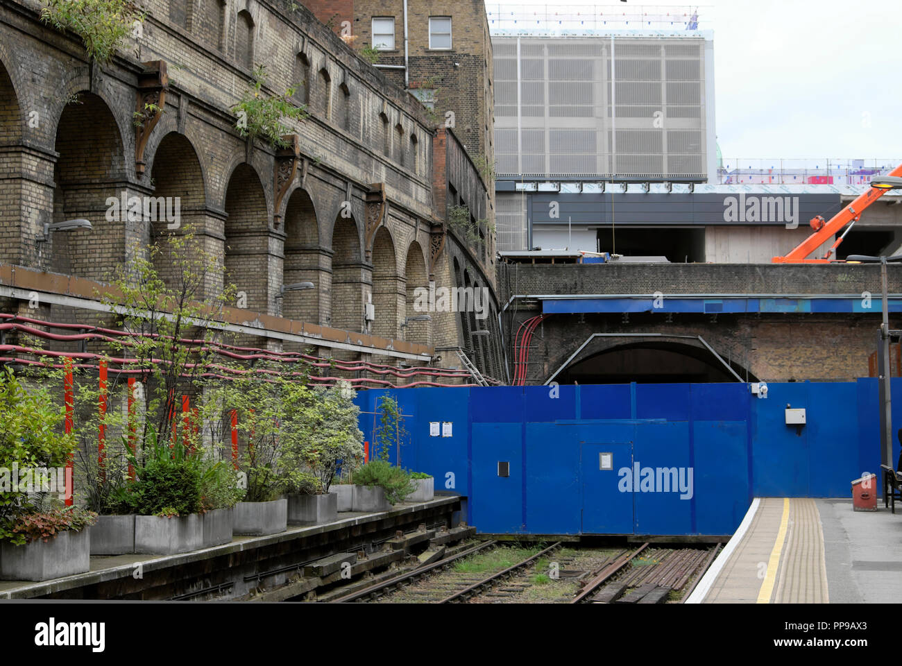 Geschlossen verfolgen und Tunnel am Barbican Station wartet Crossrail Abschluss mit Garten Pflanzmaschinen auf der Plattform im Sommer 2018 London UK KATHY DEWITT Stockfoto