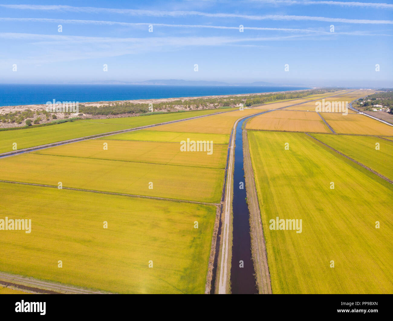 Antenne Panorama der Reisfelder in Comporta auf der Alentejo Küste Stockfoto