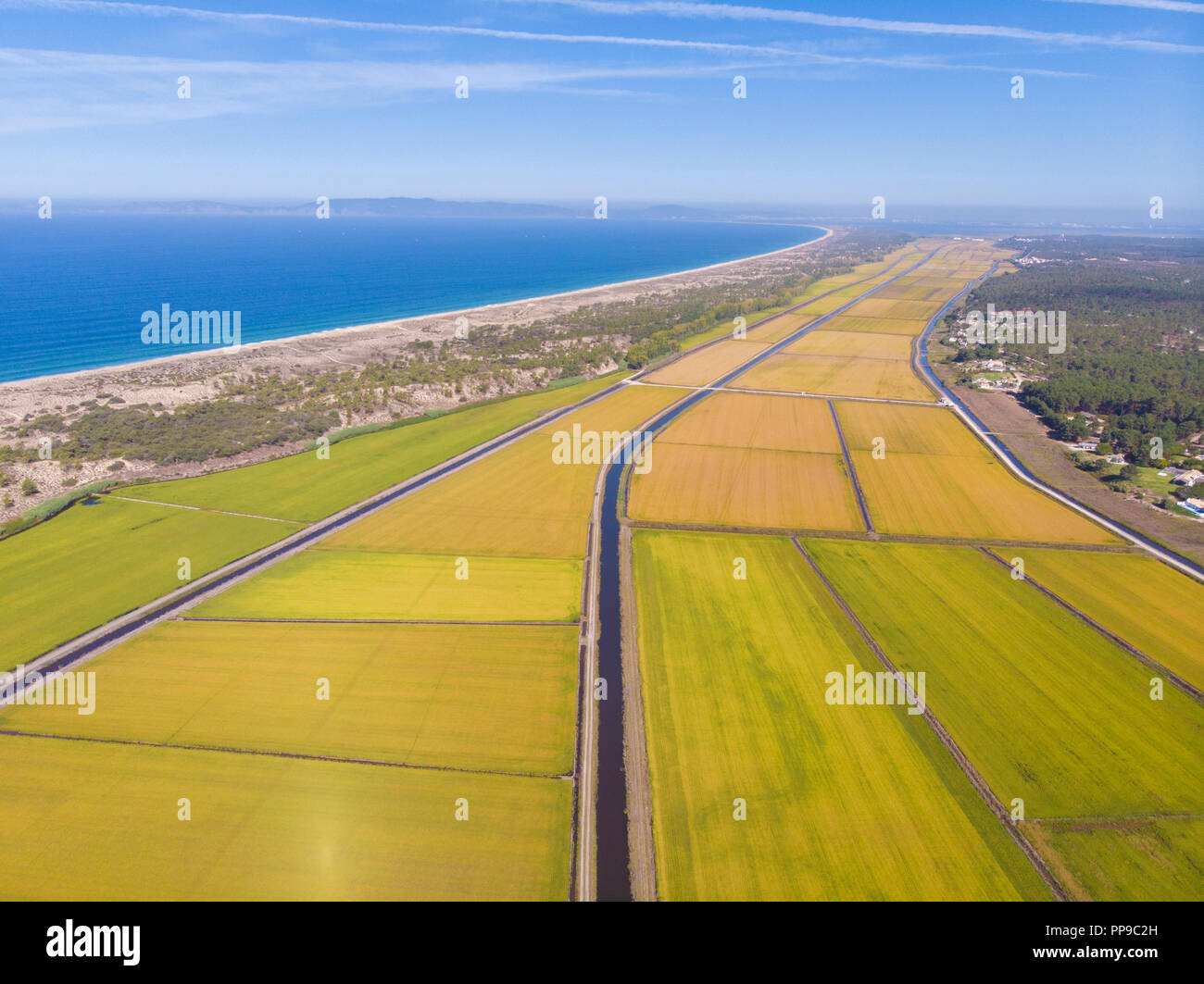 Antenne Panorama der Reisfelder in Comporta auf der Alentejo Küste Stockfoto