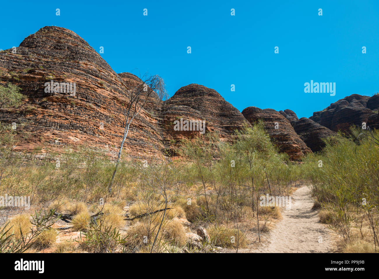 Purnululu, die Bungle Bungles, East Kimberley Region, Western Australia Stockfoto