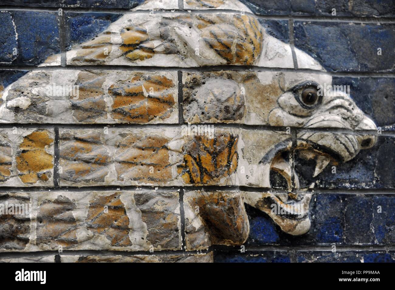 Babylon. Monumentale Prozession Straße. Relief des Löwen. Detail. Archäologisches Museum. Museum für alte Orient. Istanbul. Turkei. Stockfoto