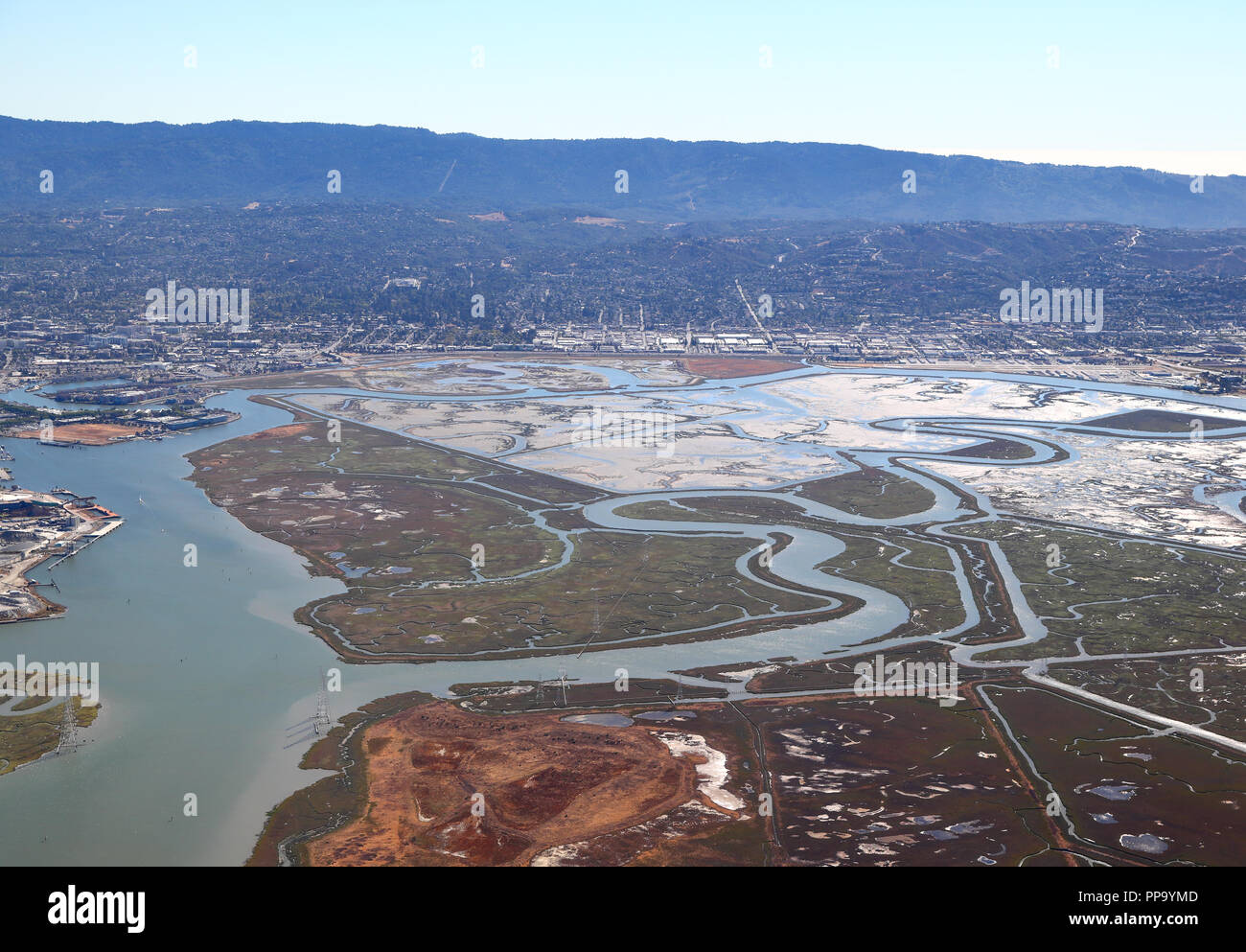San Francisco Bay Area: Salzwiesen und Feuchtgebieten in der süd-westlichen Bay Area Stockfoto
