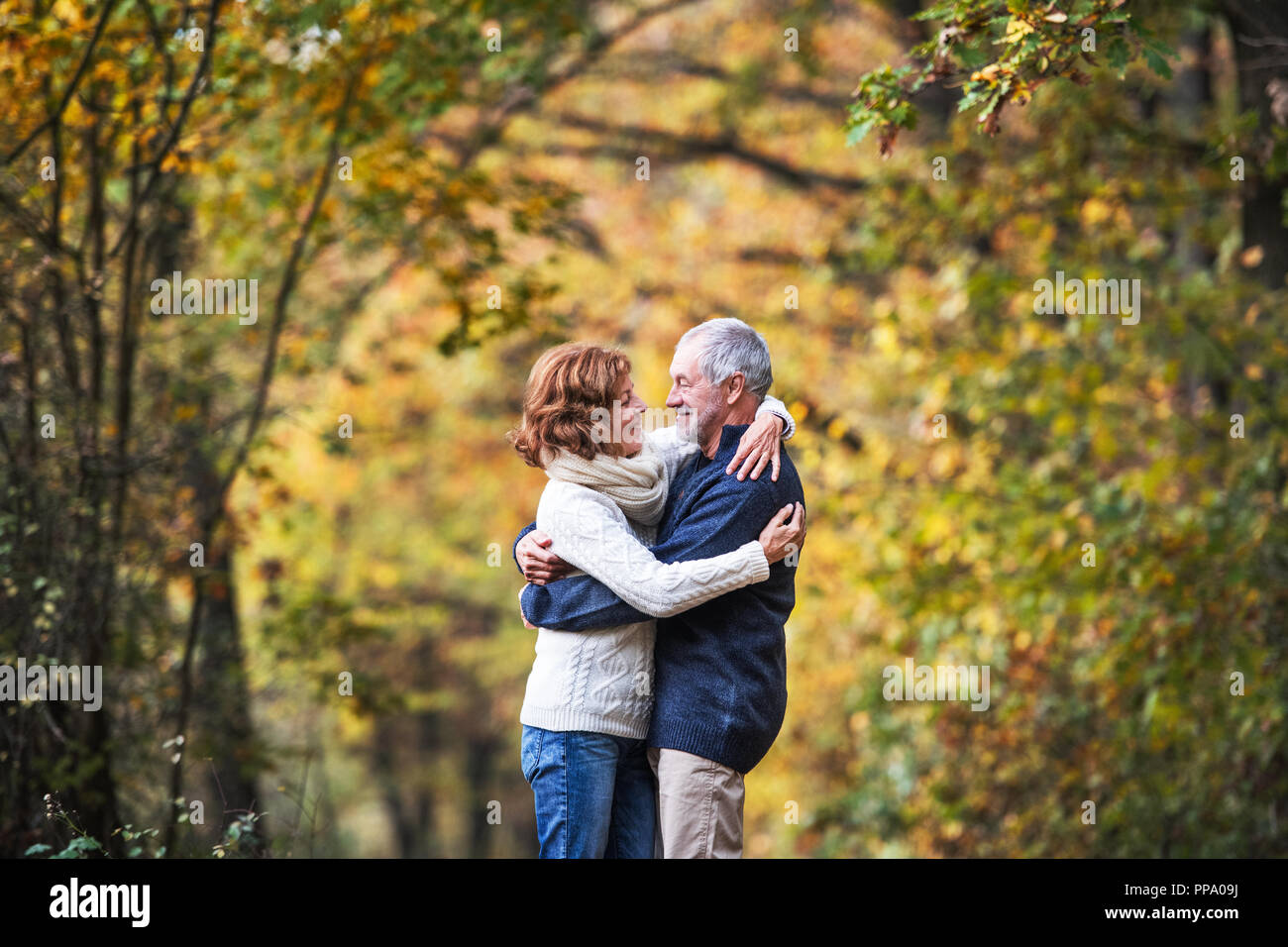 Ein Porträt von einem älteren Ehepaar in einem Herbst Natur. Kopieren Sie Platz. Stockfoto