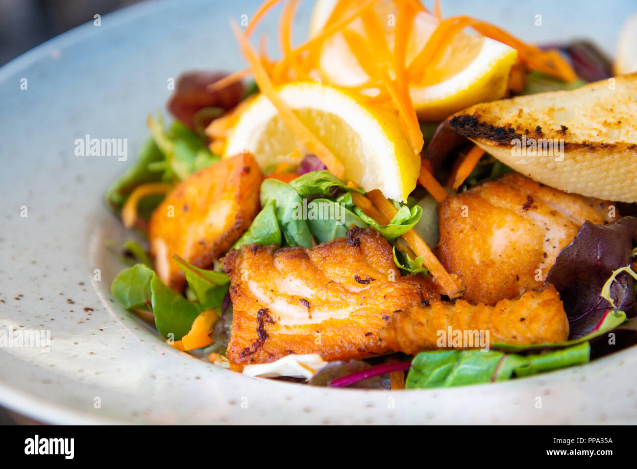 Gegrillter Lachs mit frischem Salat und Kartoffelbrei Stockfoto