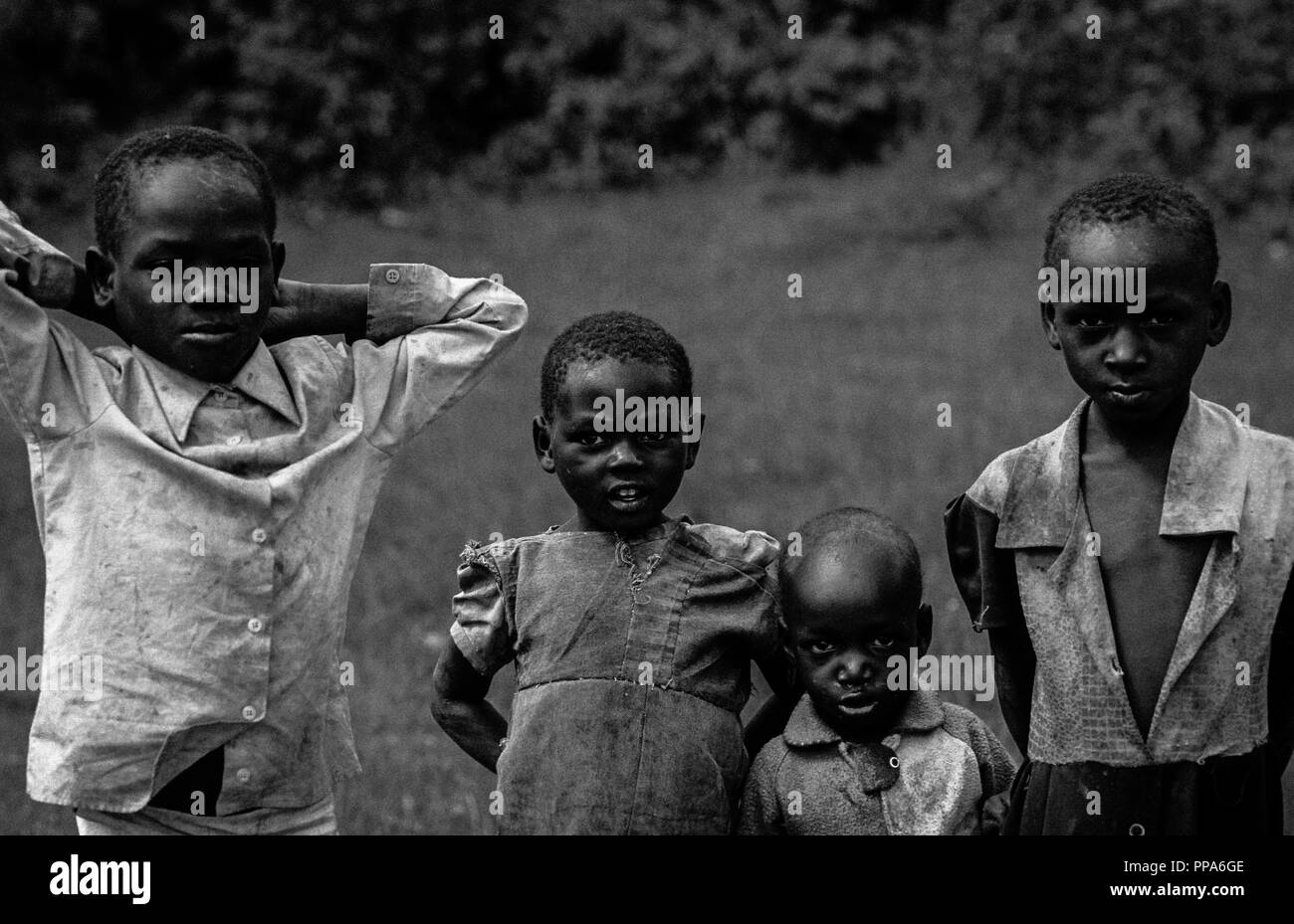 Pygmy Kinder auf dem Weg zur Schule, Bundibugyo, Uganda, Afrika. Stockfoto