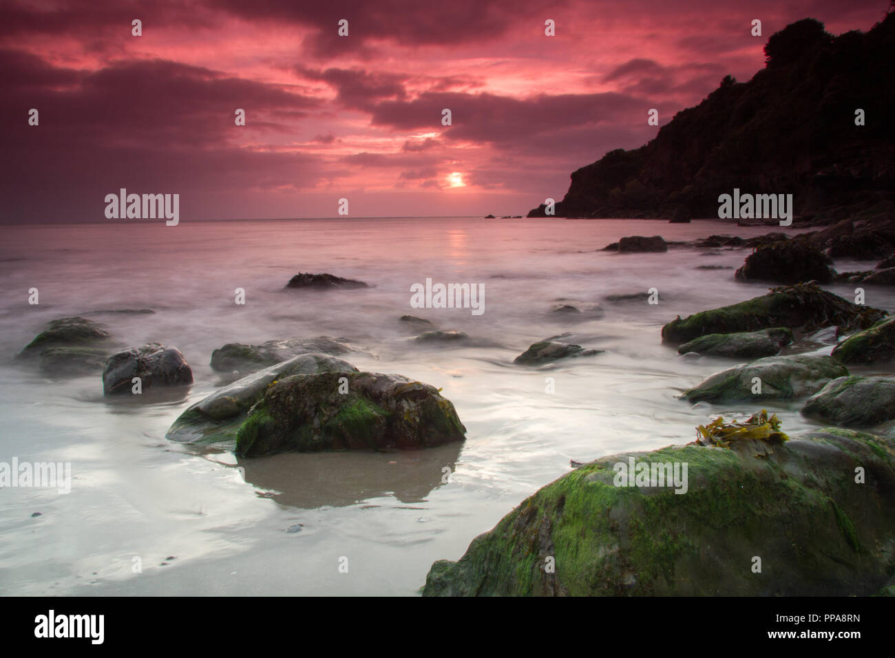 Sonnenaufgang am St Mary's Bay Stockfoto