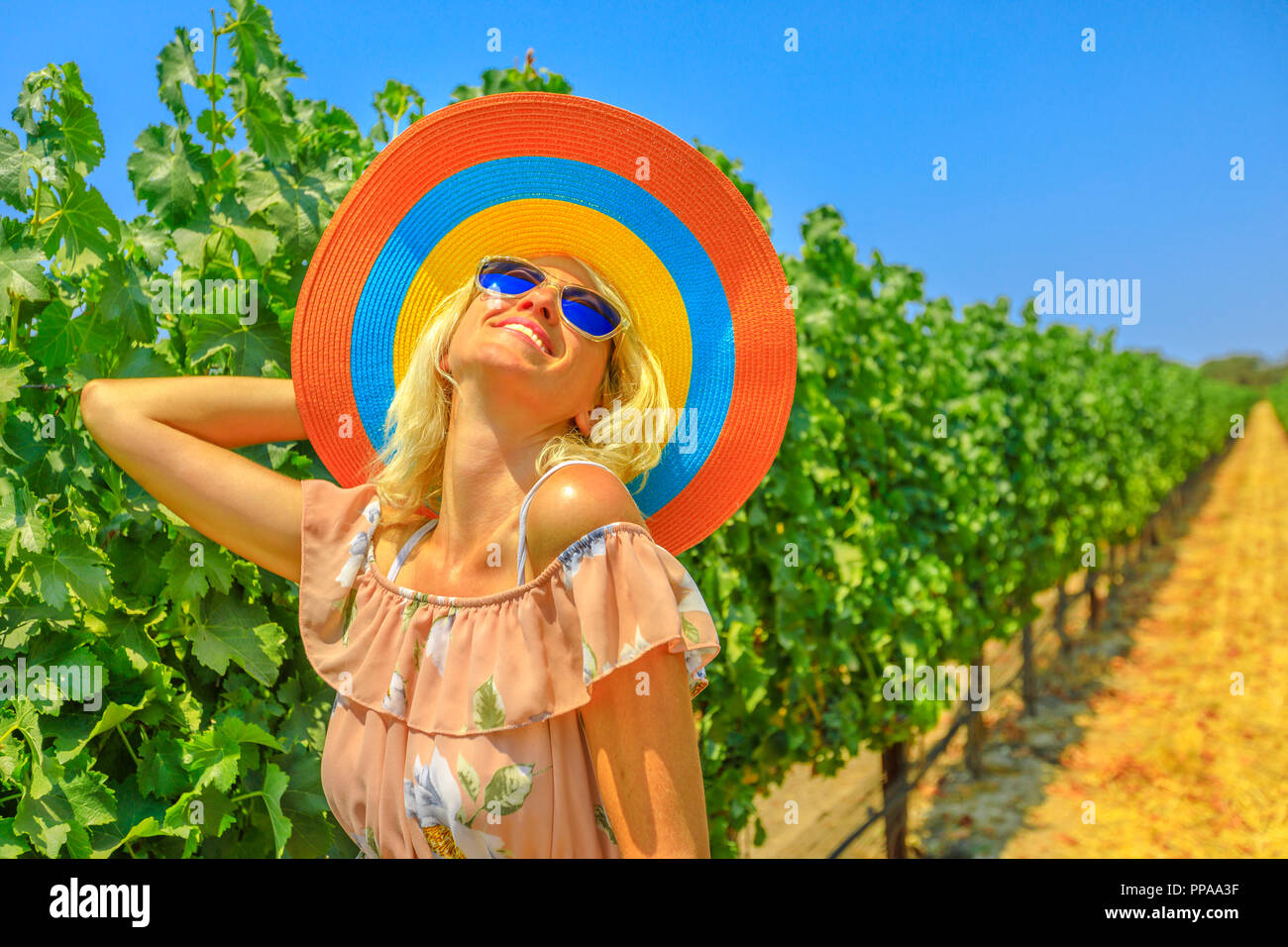 Glückliche Frau mit großen Hut genießen, während eine beliebte Weinprobe in Los Olivos, Santa Ynez Valley, nördlich von Santa Barbara, ist eine der wichtigsten Rebsorten Regionen in Kalifornien, USA. Stockfoto