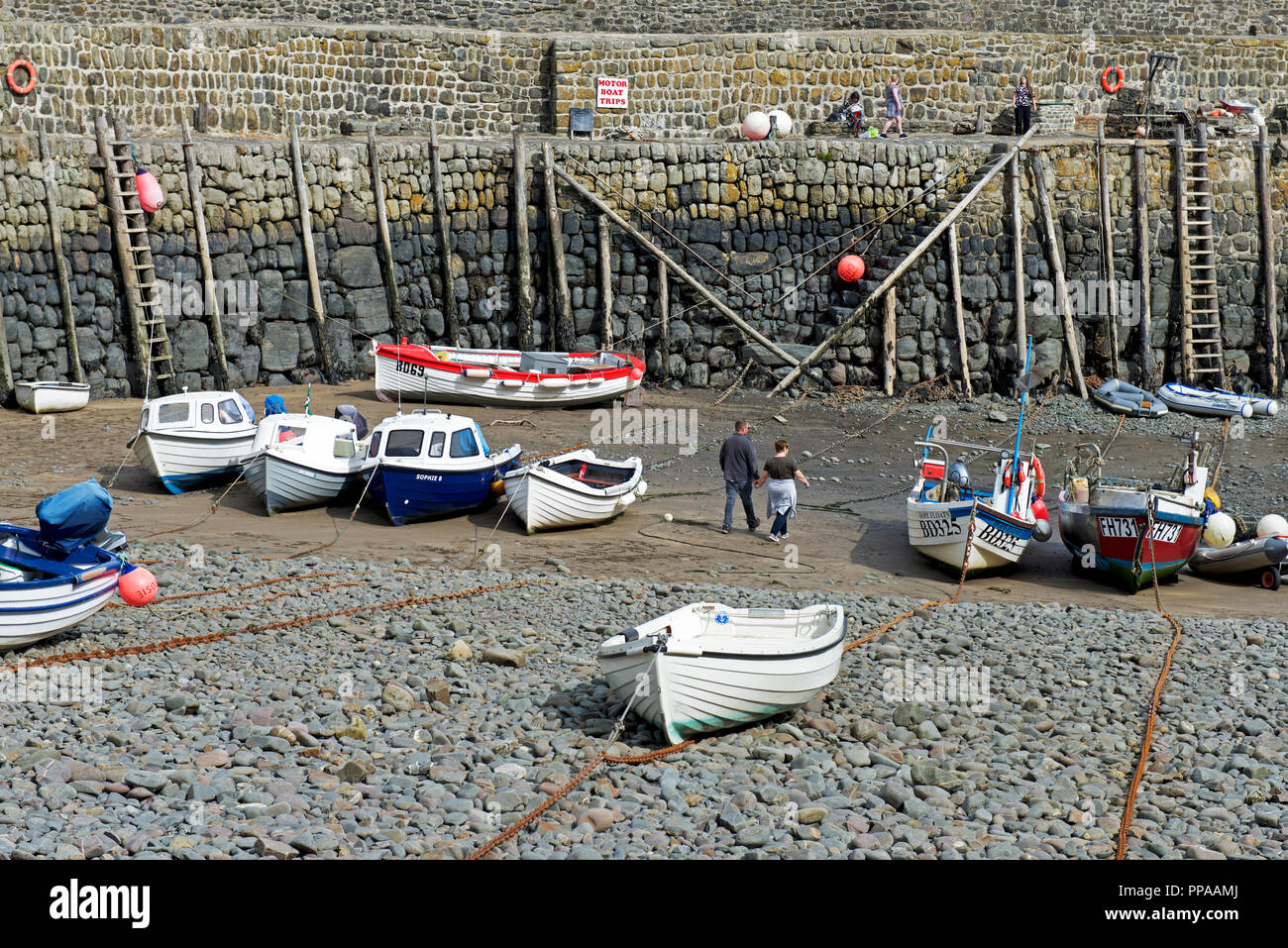 Der Hafen, Clovelly Fischerdorf, Devon, England Großbritannien Stockfoto