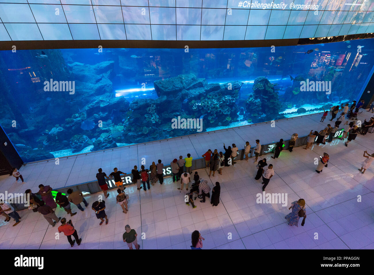 Dubai Mall Aquarium Stockfotografie Alamy