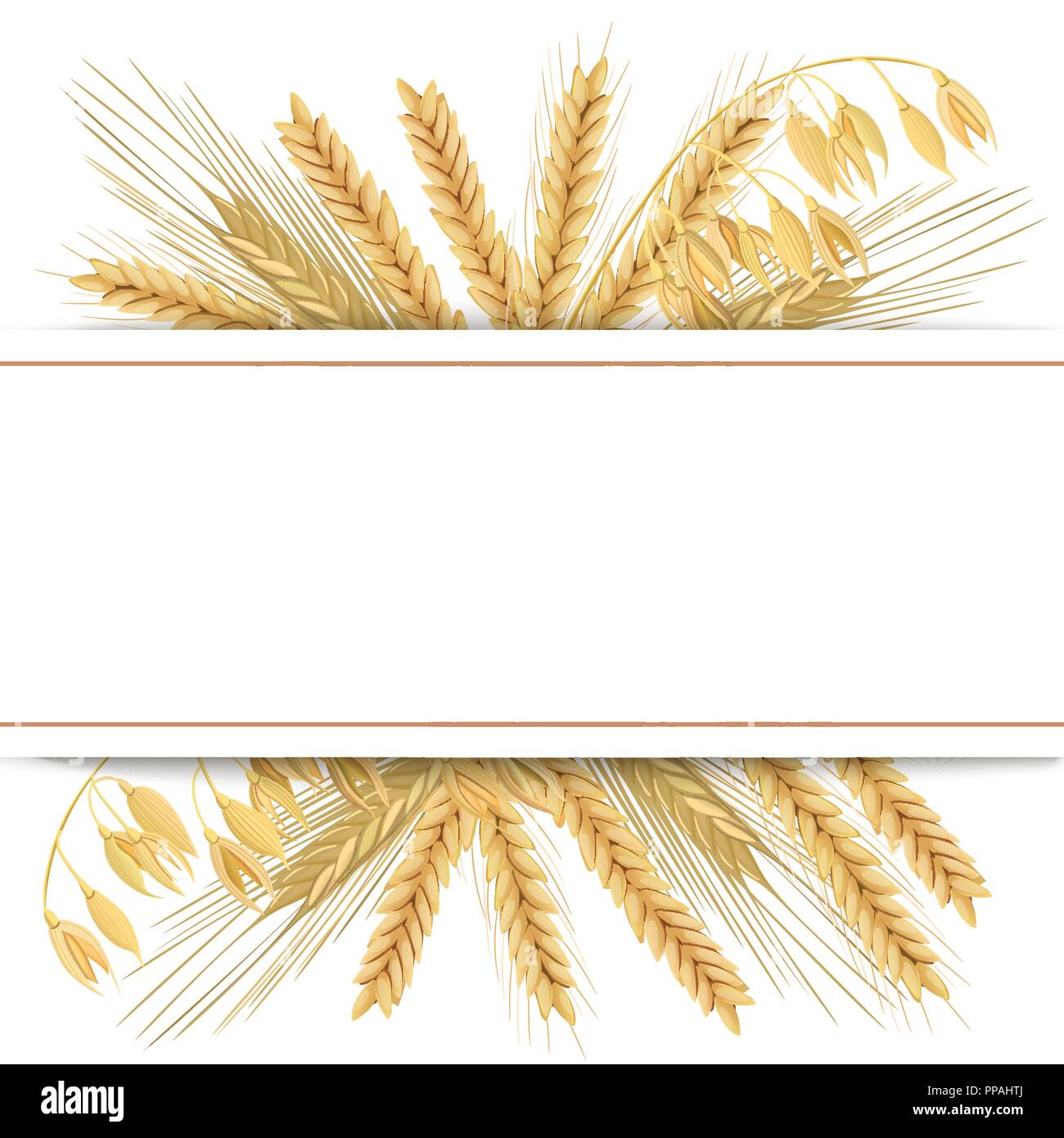 Weizen, Gerste, Hafer und Roggen. 3d Symbol Vektor einrichten. Vier  Getreide Körner und Ohren mit Text premium Foods, natürliches Produkt.  Horizontale Beschriftung. Samen und Pla Stock-Vektorgrafik - Alamy