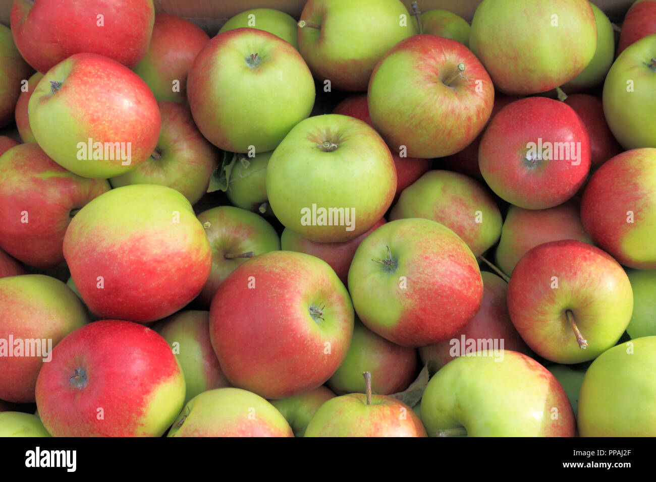 Apple, goldenen Krone, Äpfel, Malus Domestica, Hofladen, Display, Essbar, Obst Stockfoto