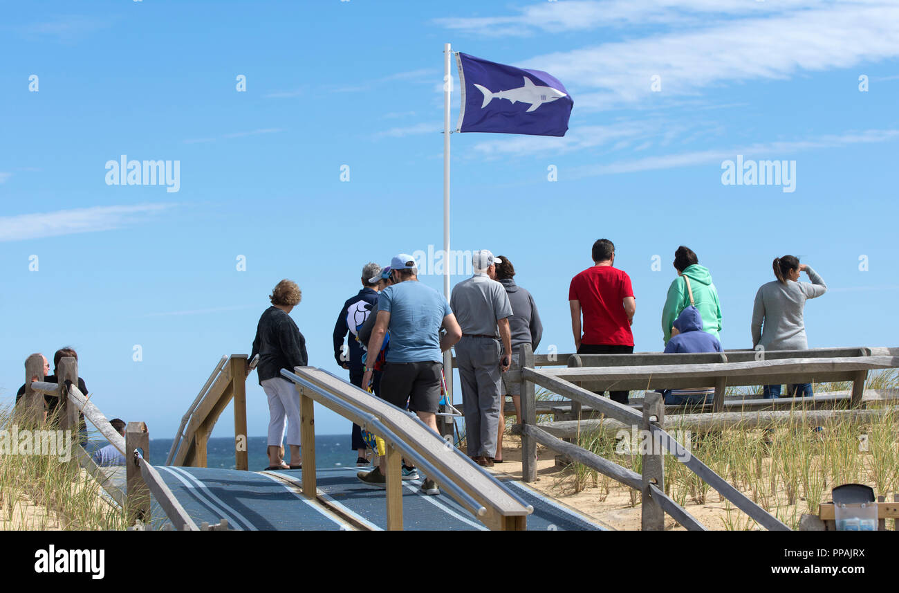 Eine Menschenmenge sammelt auf dem übersehen bei Nauset Beach auf Cape Cod mit einem Hai Warnung Flagge. Stockfoto