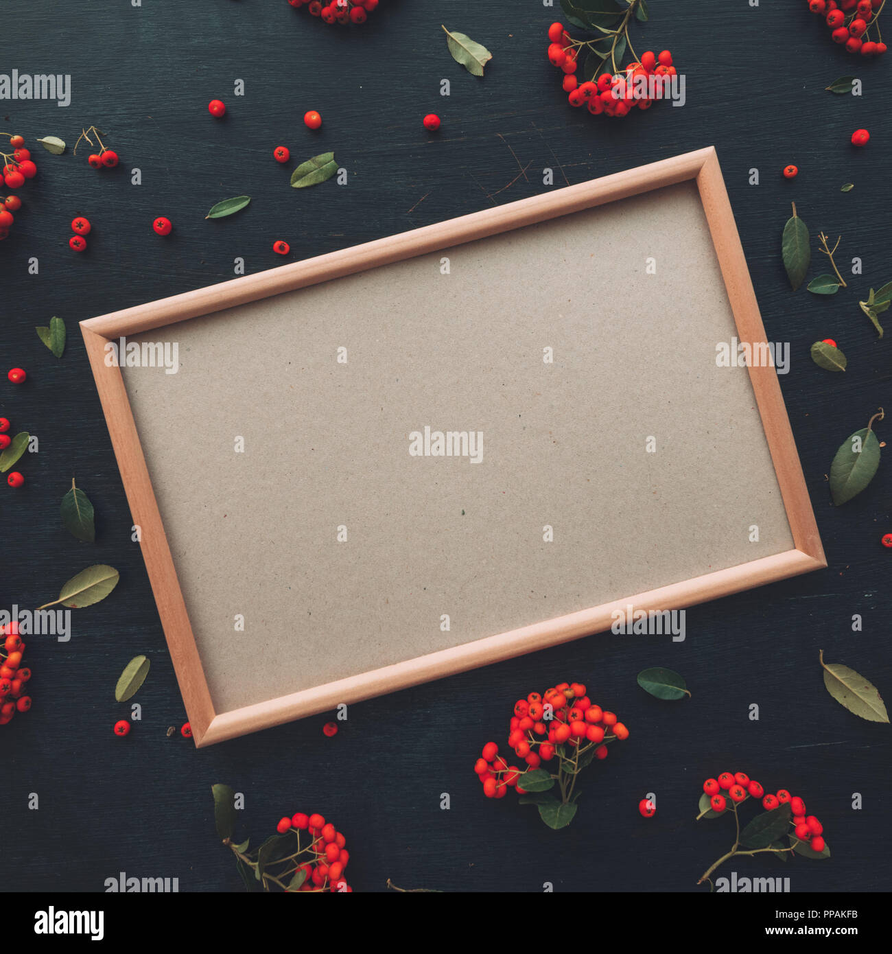 Flach leer Bild mock up Kopie Raum auf dunklem Hintergrund mit wilden Beerenfrucht Anordnung eingerichtet Stockfoto