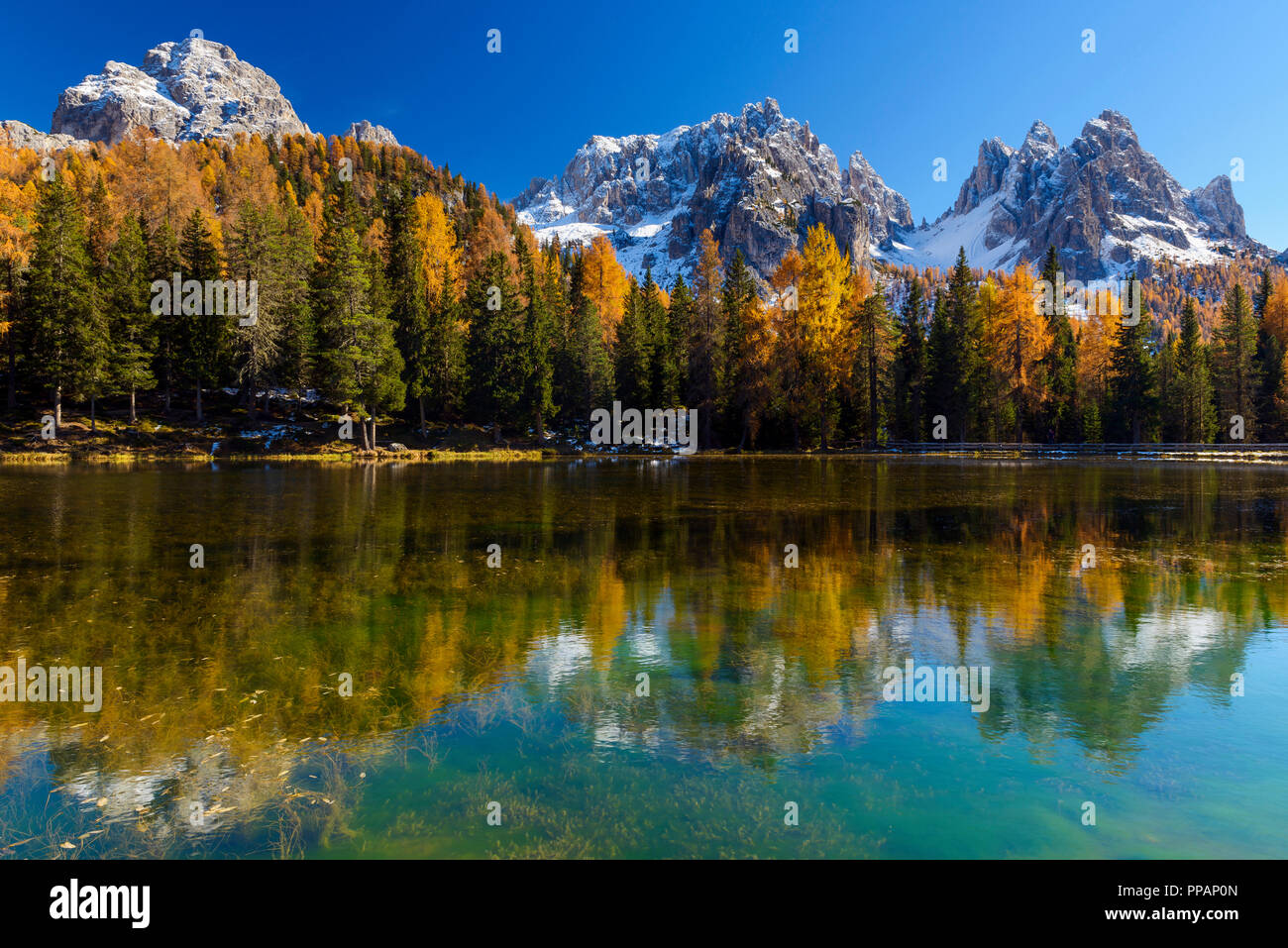 Antorno See mit Gruppo dei Cadini im See, Herbst, Cadore, Misurina, Belluno, Venetien, Dolomiten, Italien, Europa Stockfoto