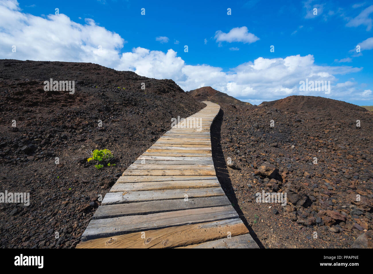 Boardwalk durch Lava Rock Landschaft, Punta de Teno, Teneriffa, Kanarische Inseln, Spanien Stockfoto