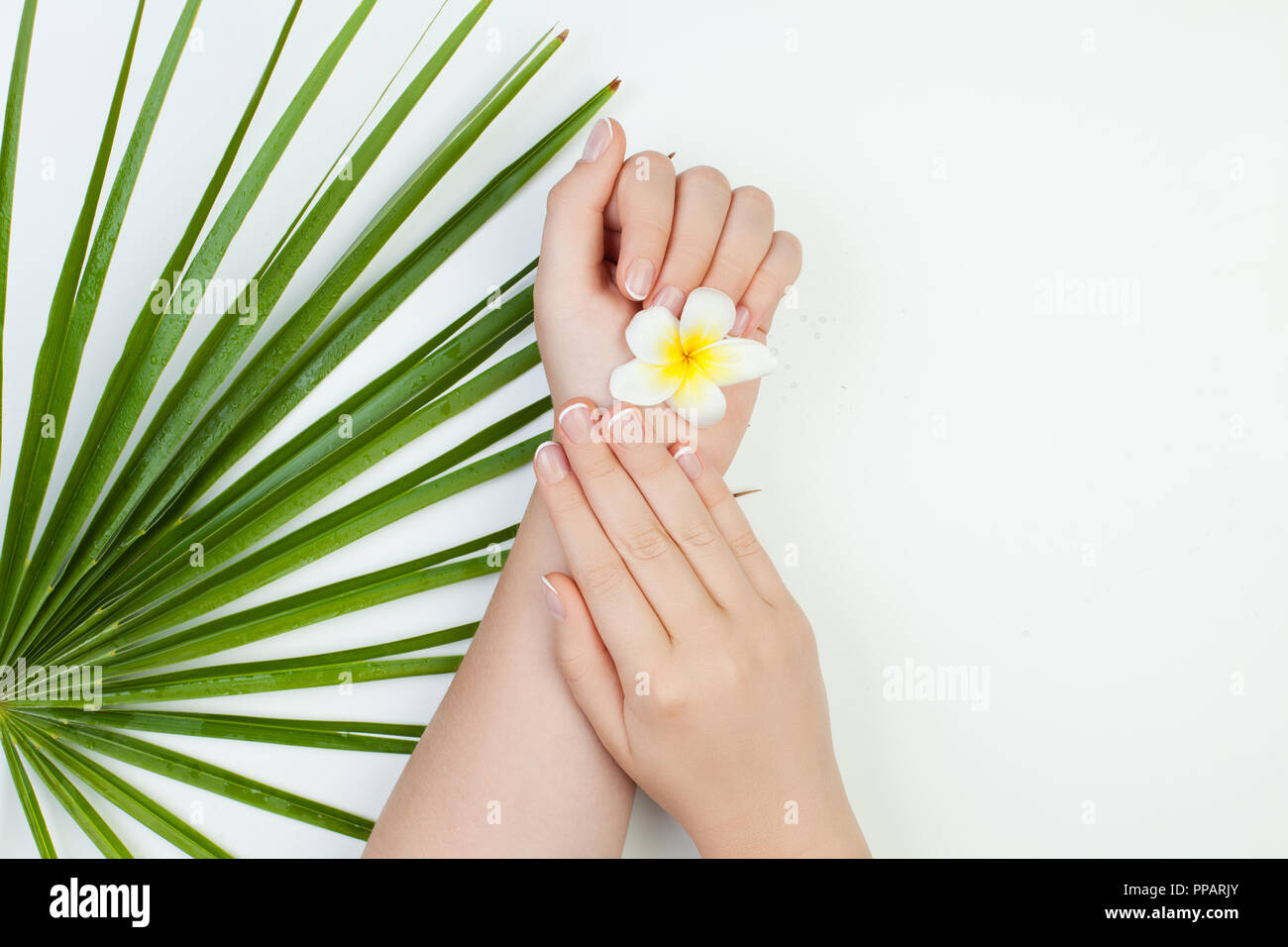 Spa hand Maniküre Konzept mit Blumen und grüne Blätter Stockfoto