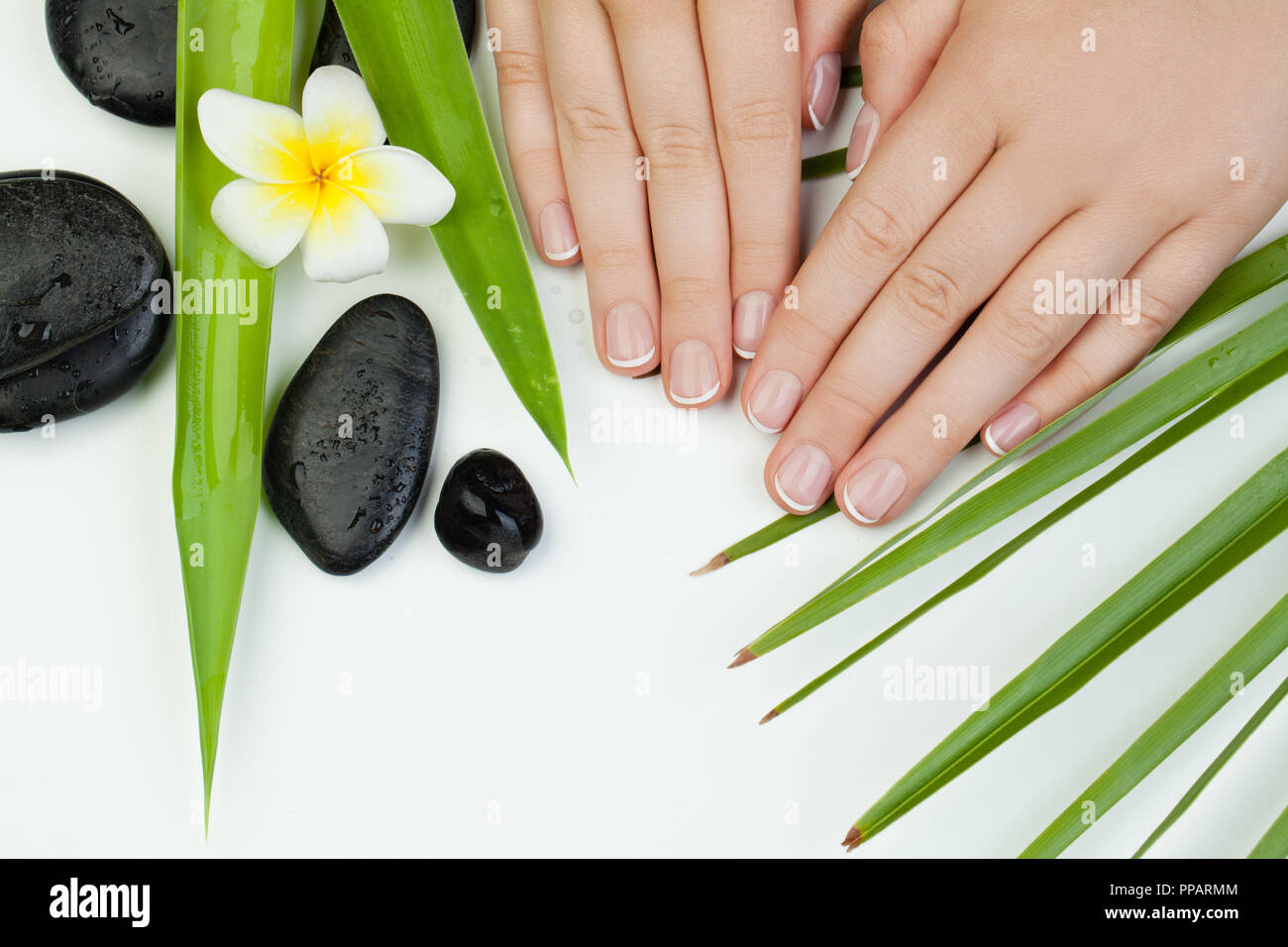 Spa Maniküre und Hände mit Blumen, Blätter und Steine Stockfoto