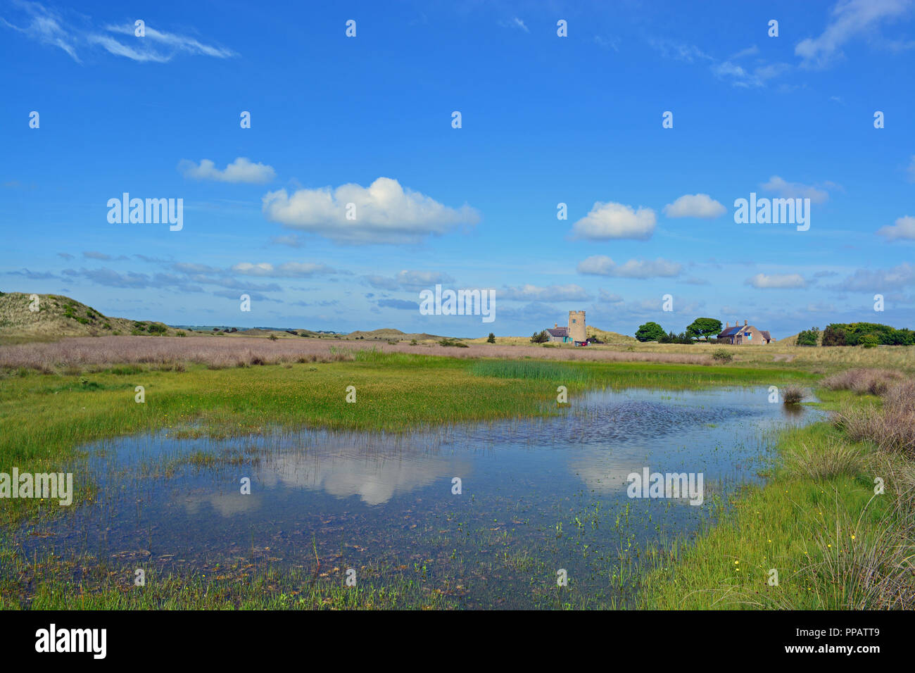 Snook, Holy Island, Northumberland Stockfoto