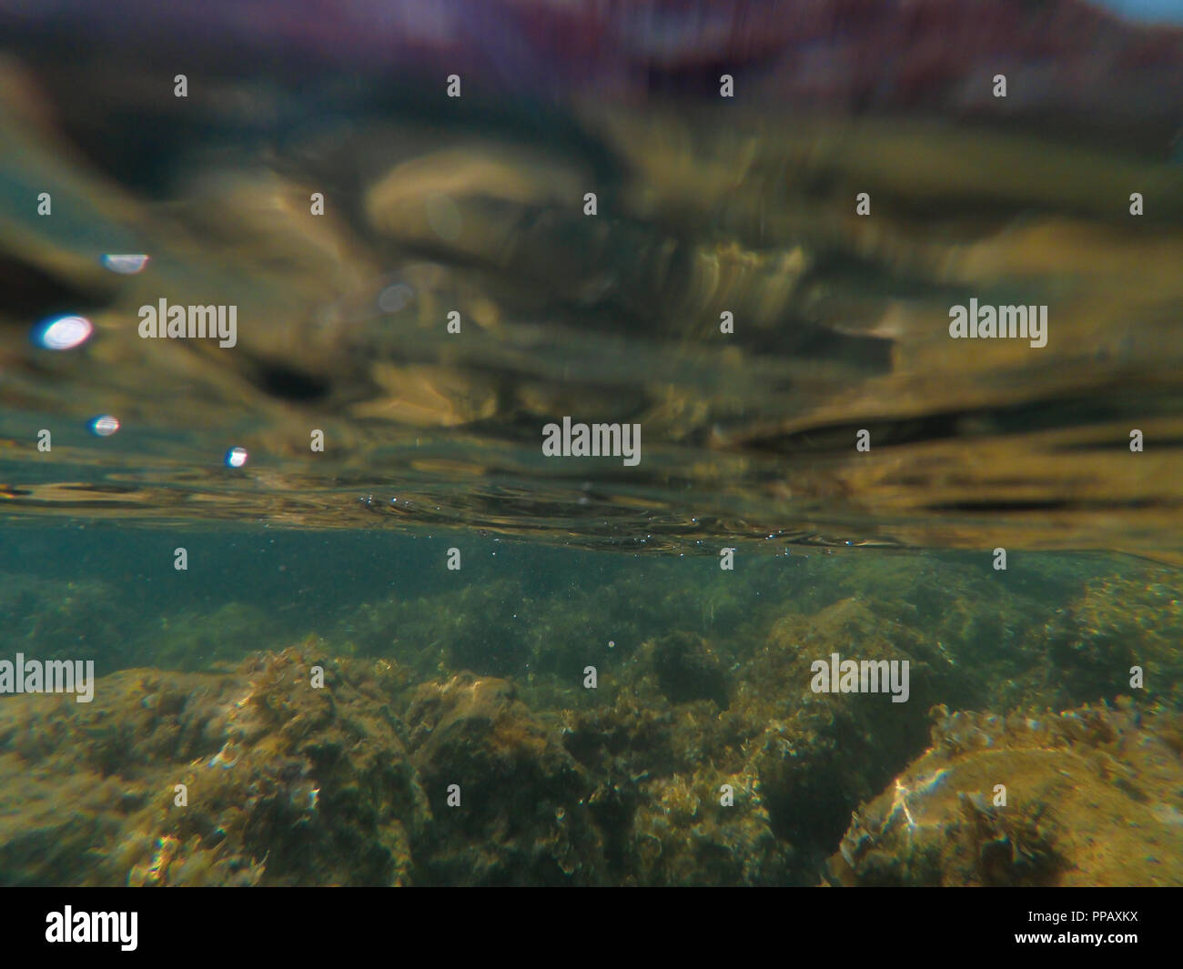 Tauchen unter Wasser in Cesme Izmir Stockfoto