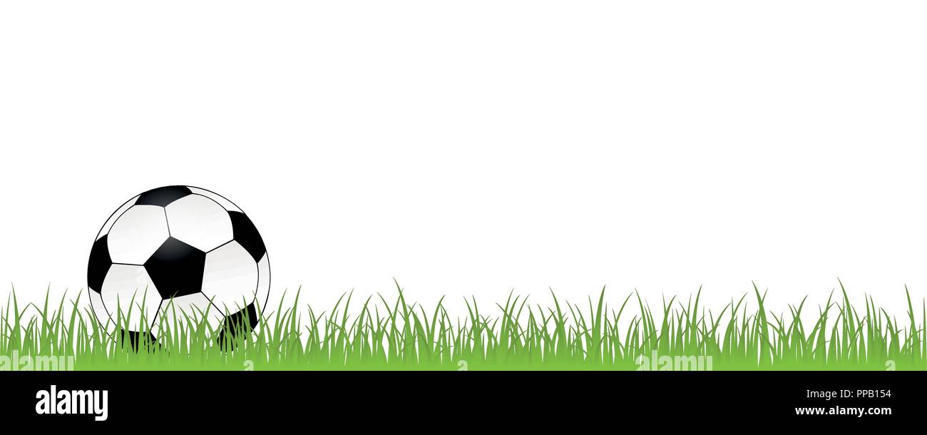 Fußball auf der grünen Wiese auf weißem Hintergrund Fußball Vektor-illustration EPS 10 isoliert Stock Vektor