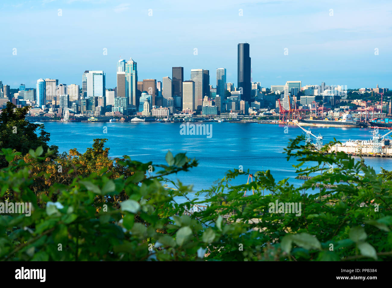 Skyline der Stadt über dem Puget Sound, Seattle, Washington State, USA Stockfoto