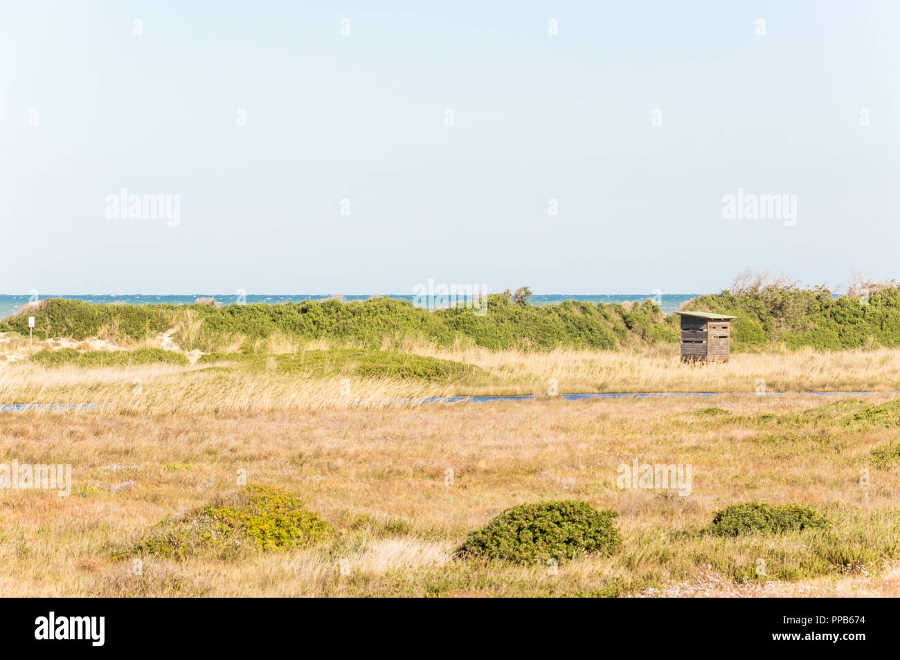 Coastal dune Naturpark an der Küste von Ostuni im Salento an der Adria Stockfoto