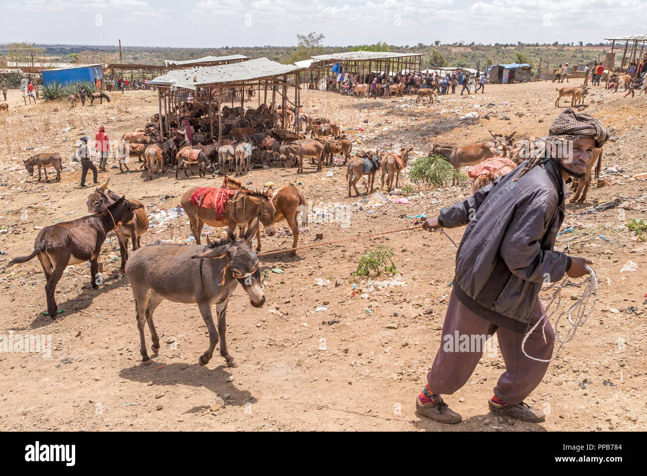 Dolo Mena-Markt, Oromia Region, Äthiopien Stockfoto