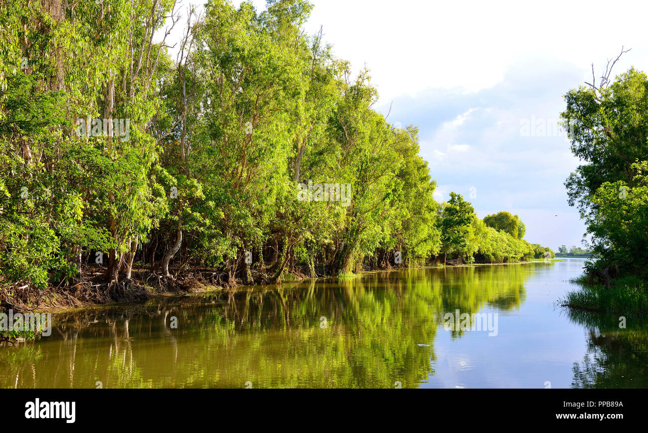 Yellow Water Billabong, Kakadu National Park, Northern Territory, Top End, Australien Stockfoto