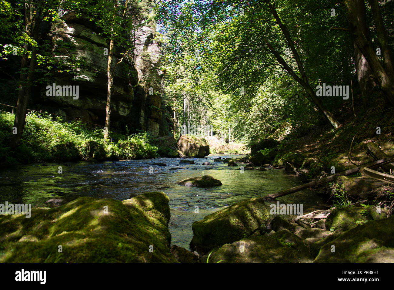 Die Kamnitz Schlucht, Tschechisch: Soutesky Kamenice, Deutsch: Kamnitzklamm oder Edmundsklamm, ist eine felsige Schlucht in der Böhmischen Schweiz in der Tschechischen Republik. Stockfoto