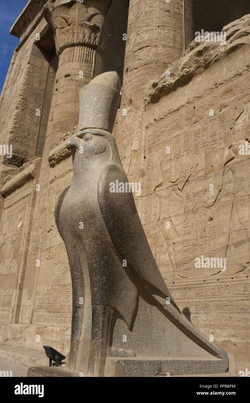 Ägypten, Edfu. Tempel des Horus. Pronaos. Ptolemäerzeit. Es war während der Herrschaft des Ptolemaios III. und Ptolemaios XII., 237-57 v. Chr. erbaut. Granit Statue der Falkengott Horus tragen die Doppelkrone in Ägypten. Stockfoto