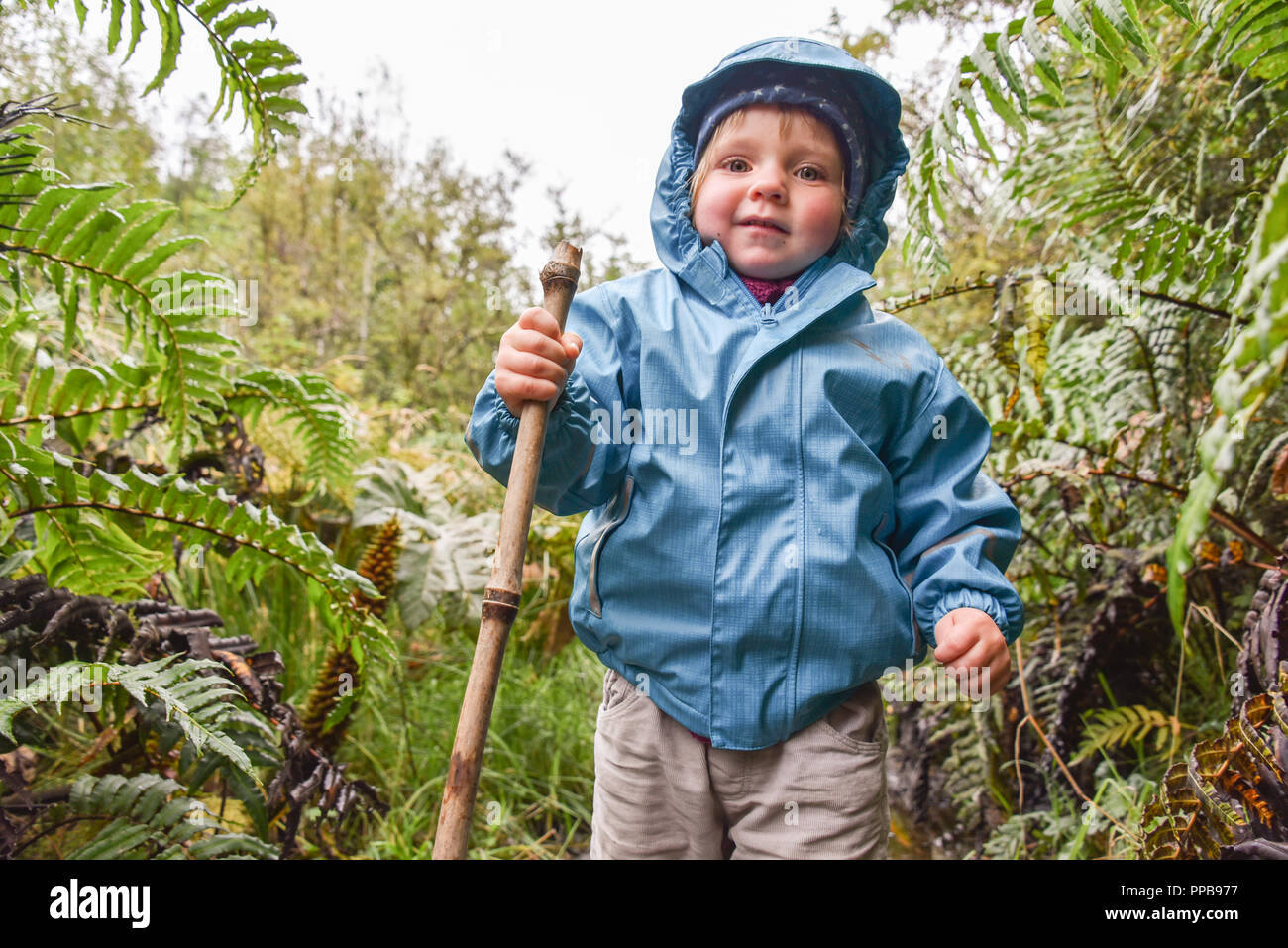 Kleines Mädchen wandern in El Bosque Encantado, gemäßigten Regenwald mit Moos und Flechten, Carretera Austral, Nationalpark Queulat Stockfoto