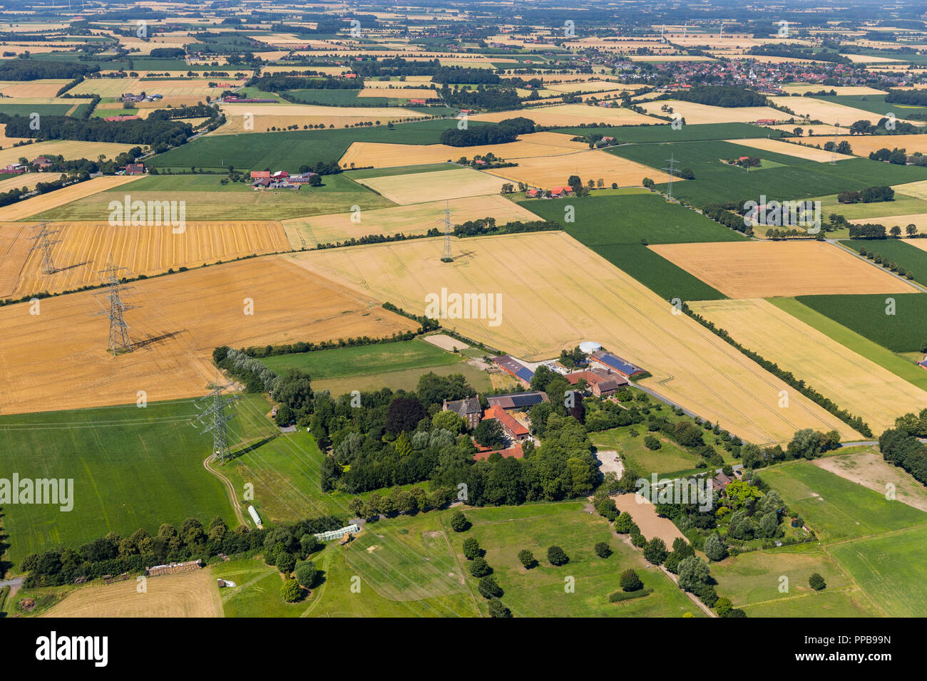 Luftaufnahme, Korn, Felder und Wiesen, Ahlen, Ruhrgebiet, Nordrhein-Westfalen, Deutschland Stockfoto