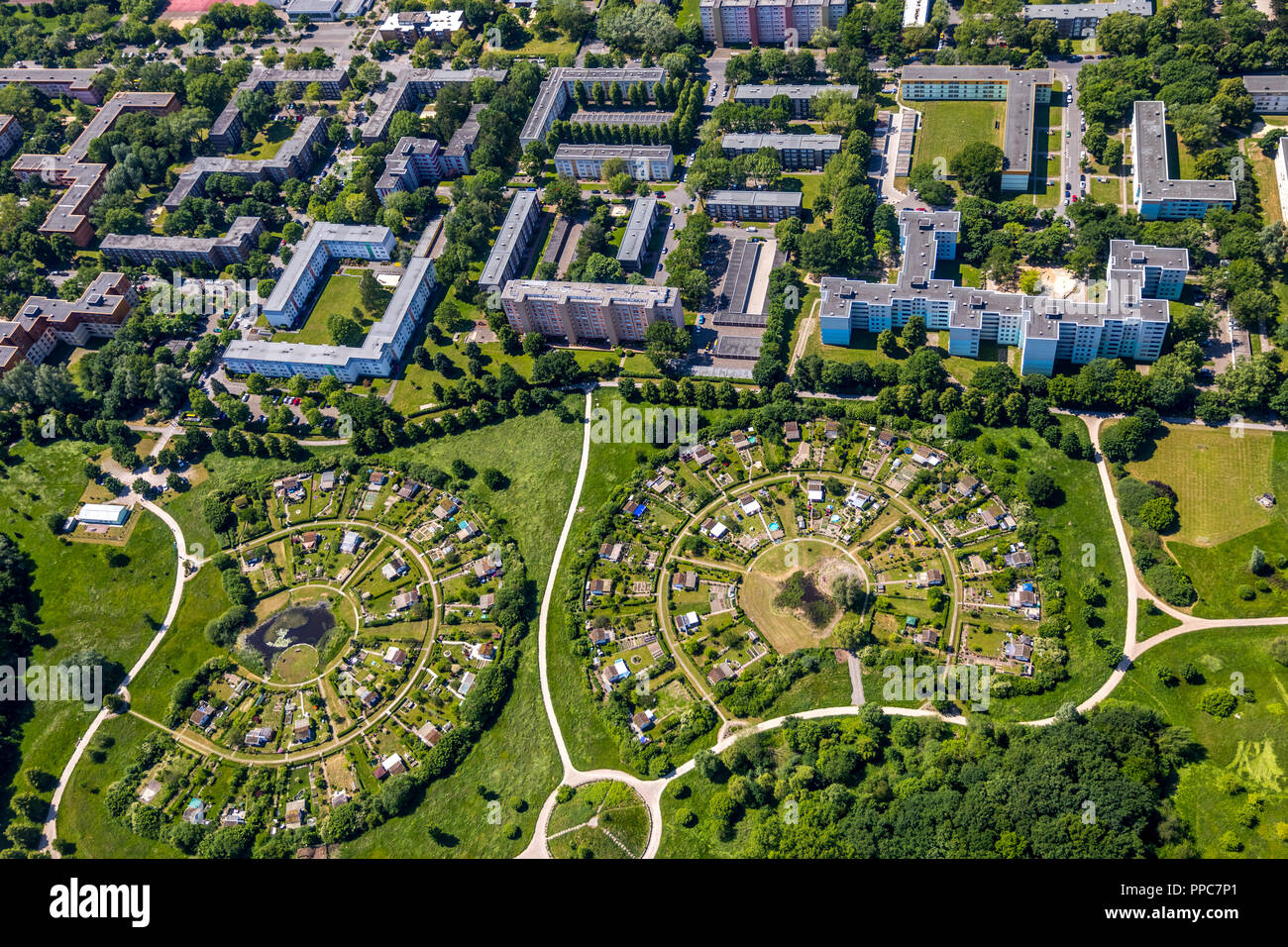 Luftaufnahme, Hochhaussiedlung neben Schrebergarten round Werzenkamp