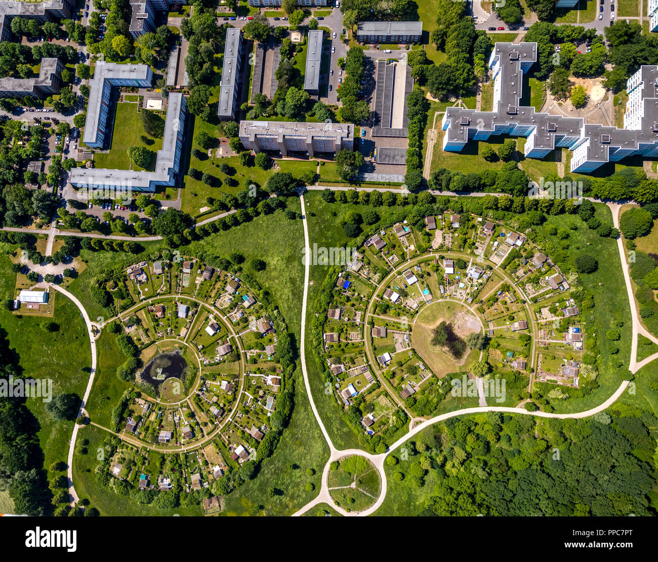Luftaufnahme, Hochhaussiedlung neben Schrebergarten round Werzenkamp