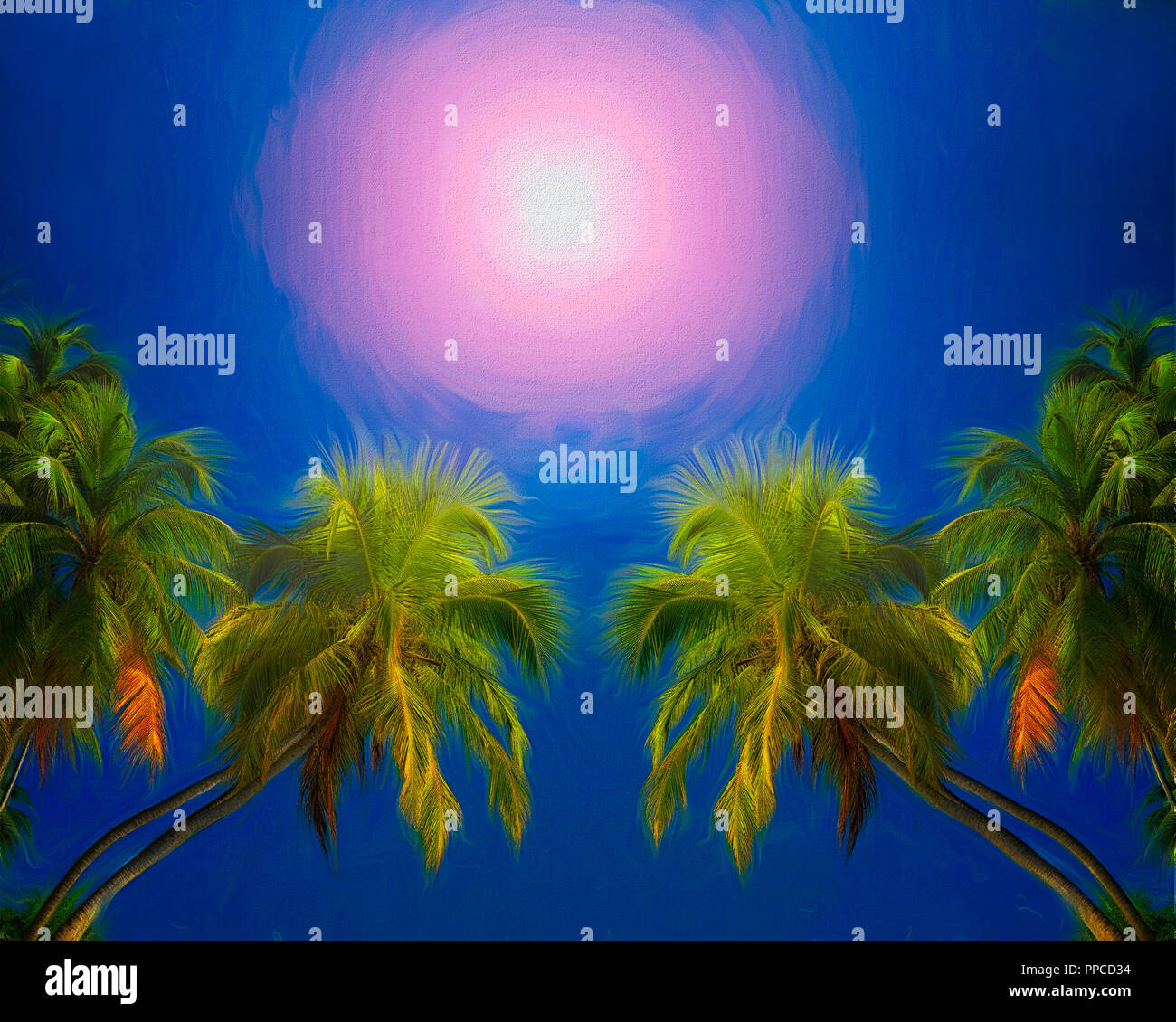TRAVEL CONCEPT: Unter Palmen und blauem Himmel Stockfoto